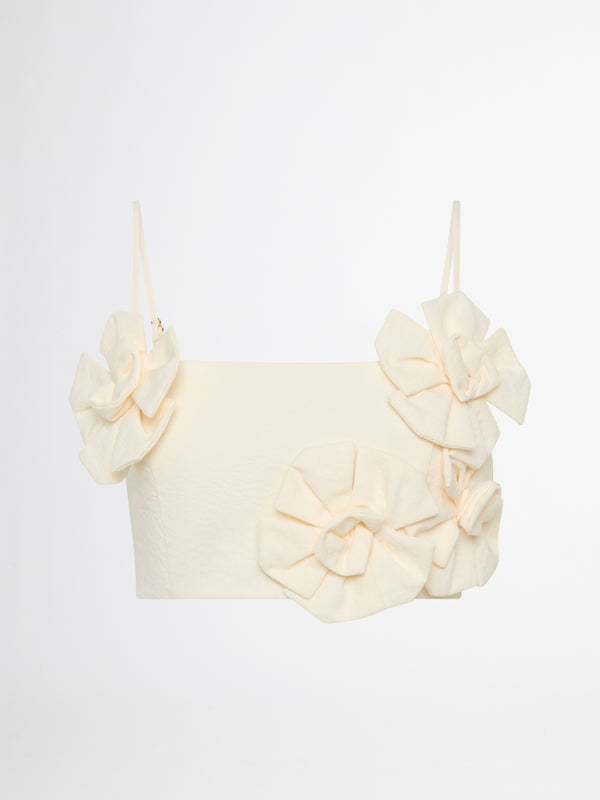 PROVENCE CROP, flat lay