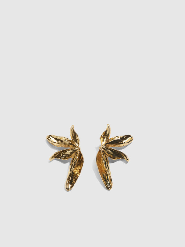 SHEIKE Lexie Earrings Gold 1007952 Ghost Image