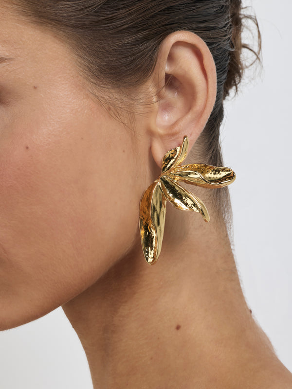 SHEIKE Lexie Earrings Gold 1007952 Model Image