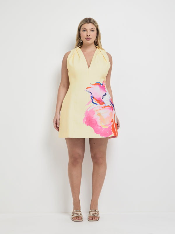 Size16 Fleur Blooms Mini Dress Floral 1007965 Front Image