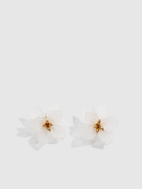 SHEIKE Alica Earrings Gold 1008102 Ghost Image