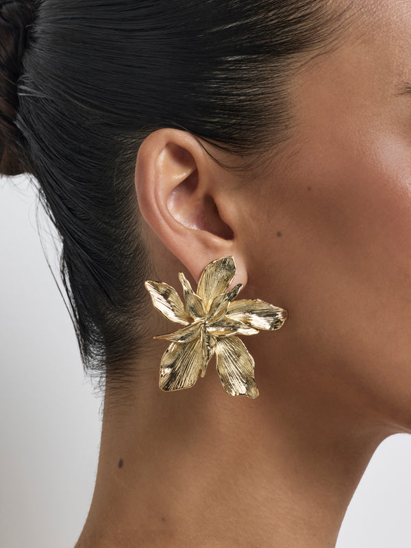 SHEIKE Tahlia Earrings Gold 1008415 Model Image