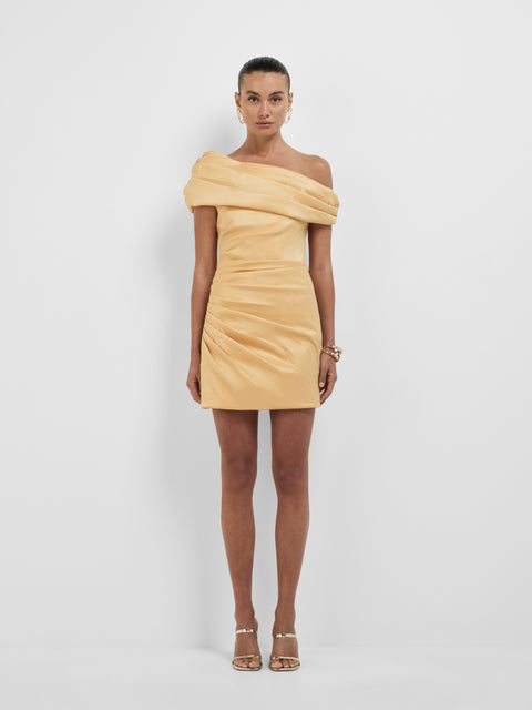 BRAE MINI DRESS