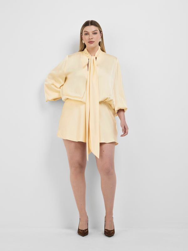 ODETTE MINI DRESS, front view on size 16 model