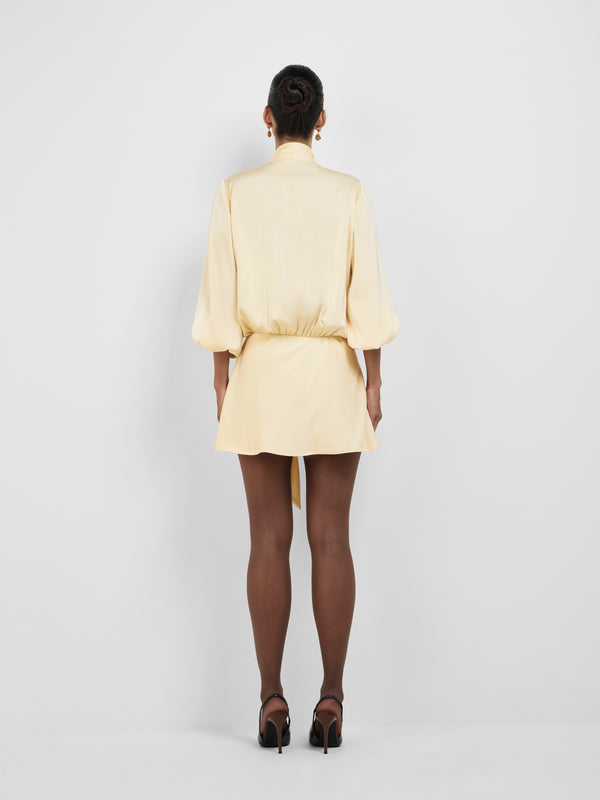 ODETTE MINI DRESS, back view
