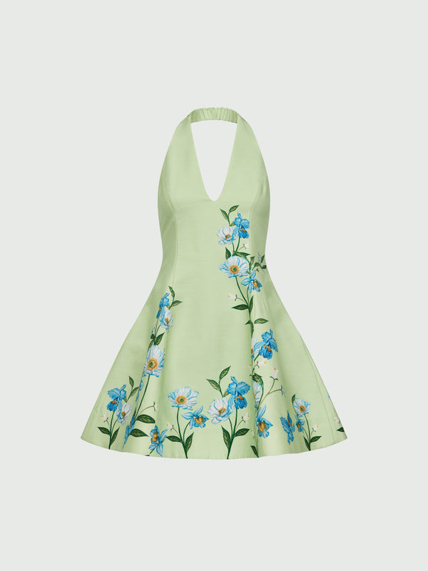 CAROLINA MINI DRESS, flat lay