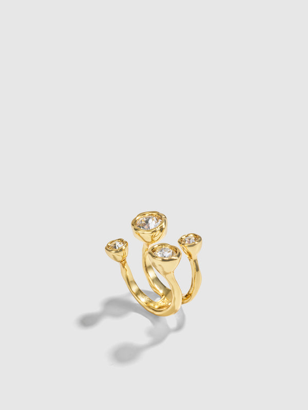 NIA RING, close-up detail
