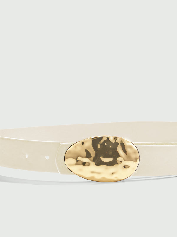 DISC BELT, close-up detail