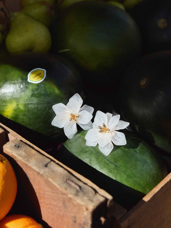 SHEIKE Alica Earrings Gold 1008102 Campaign Image