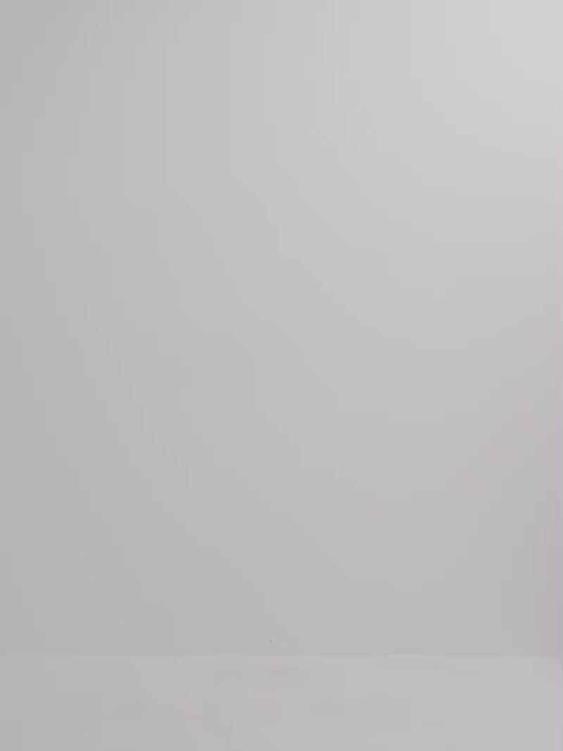 Video SHEIKE Maya Midi Dress Spot 1008073 Video