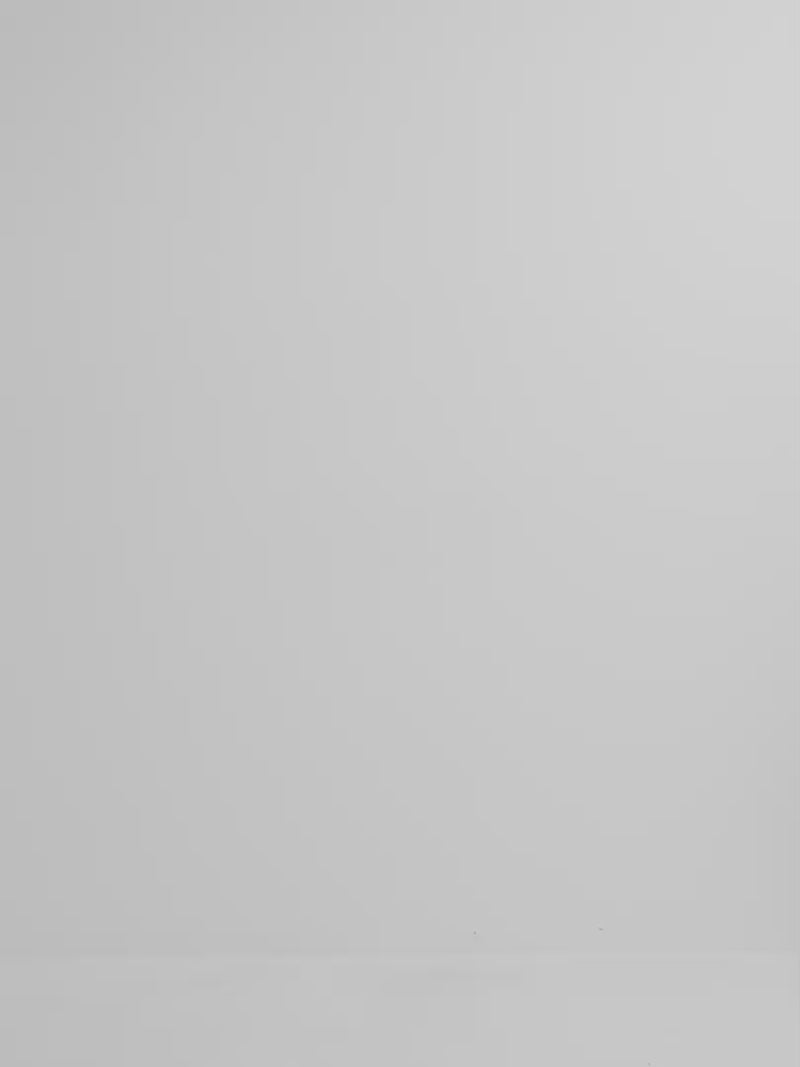 Video SHEIKE Gabby Jumpsuit Black 1008253 Video