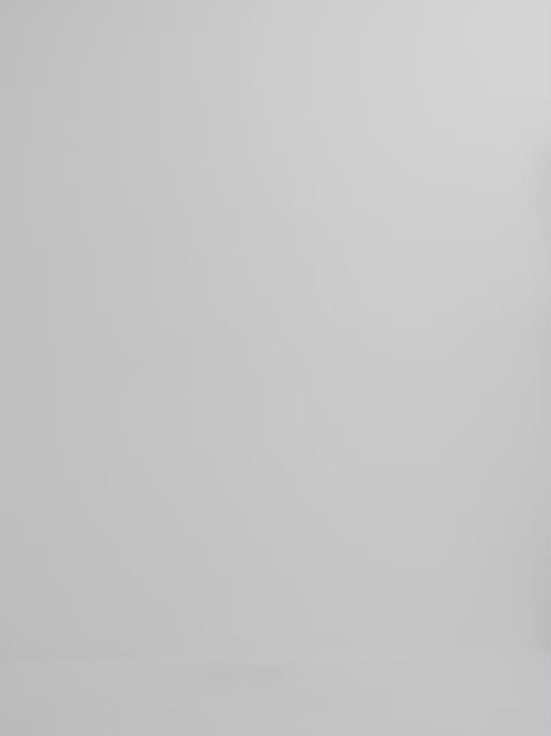 Video SHEIKE Anya Maxi Dress Green 1008220 Video 