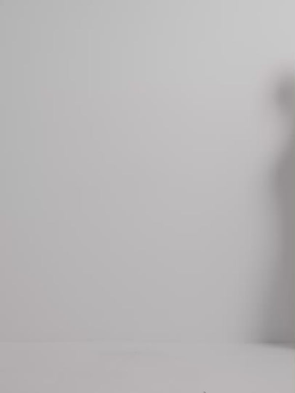 Video SHEIKE Cascade Mesh Dress Print 1009034 Video