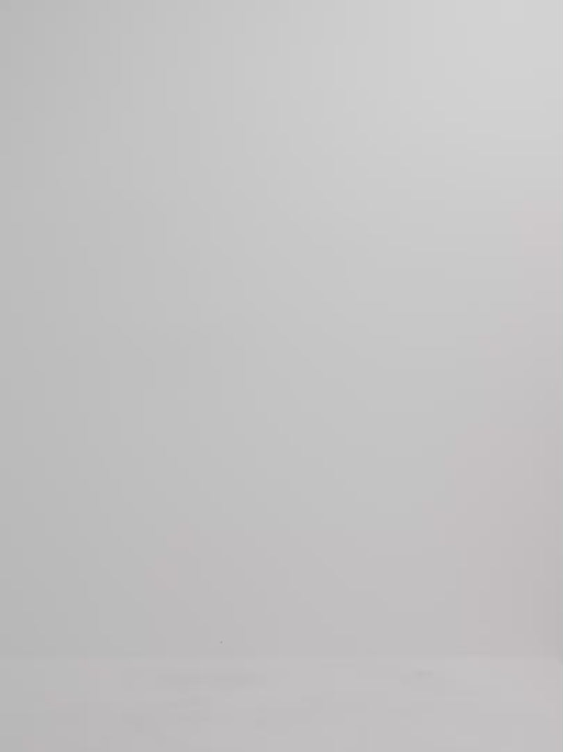 Video SHEIKE Orchid Maxi Dress Floral 1008196 Video