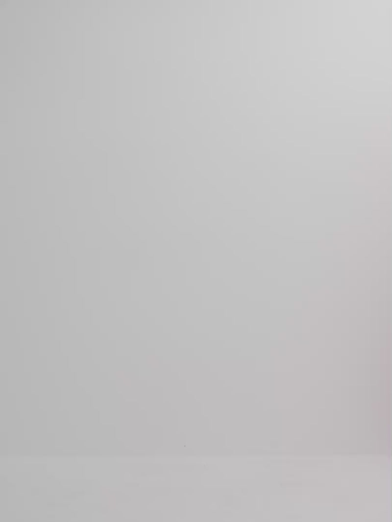 Video SHEIKE Ariel Maxi Dress Red 1008115 Video