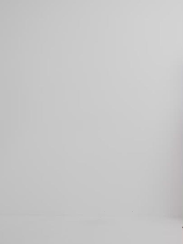 Video SHEIKE Palma Pant Print 1008316 Video