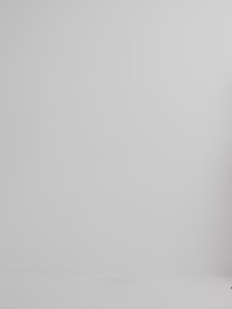 Video SHEIKE Palma Pant Print 1008316 Video