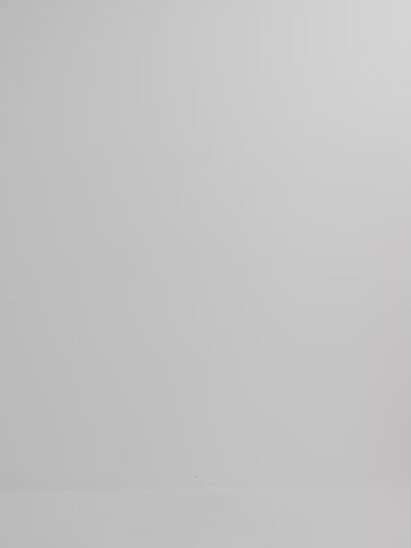 Video SHEIKE Sunset Palms Shirt Floral 1008149 Video