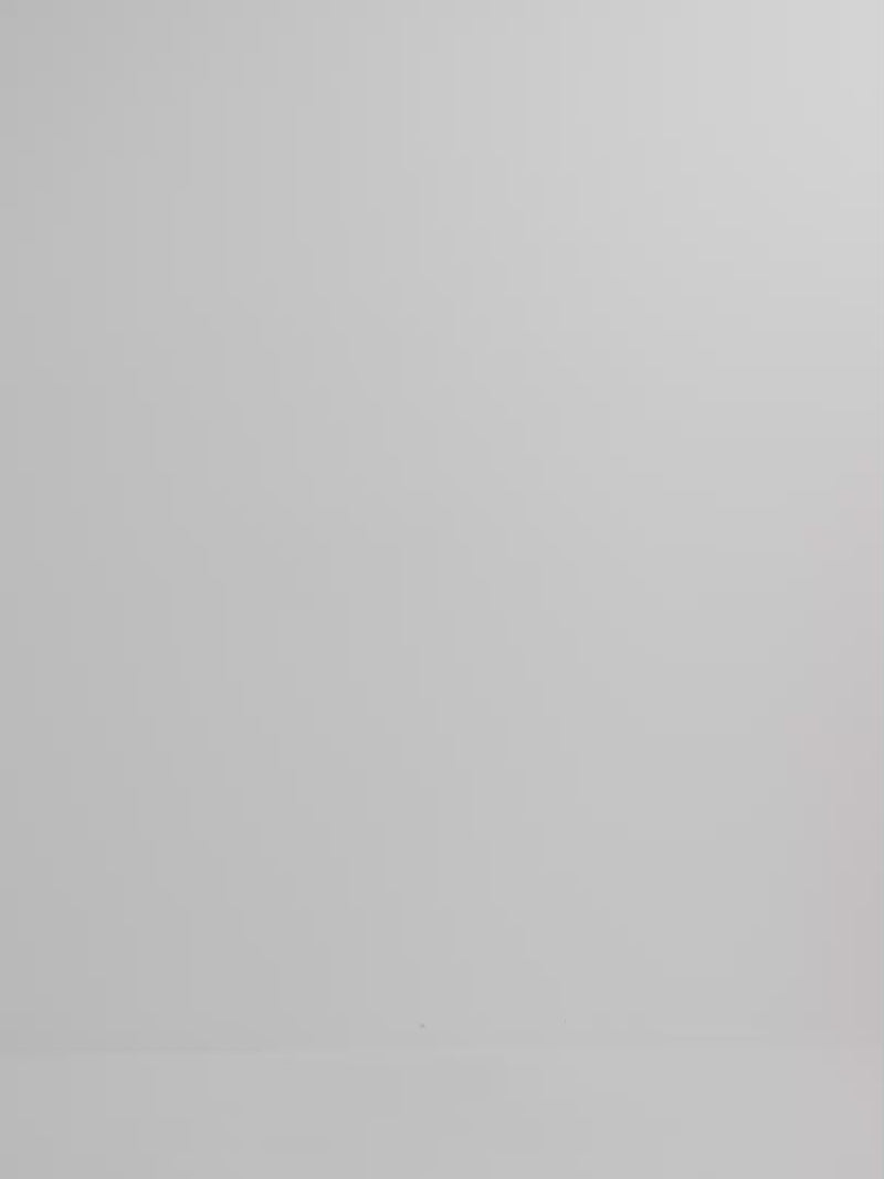 Video SHEIKE Sunset Palms Shirt Floral 1008149 Video