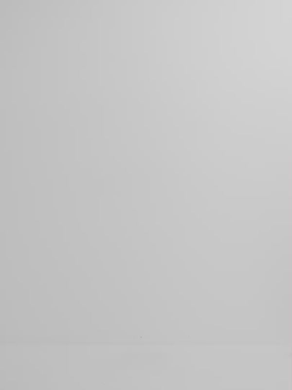 Video SHEIKE Aphrodite Skirt White 1008224 Video