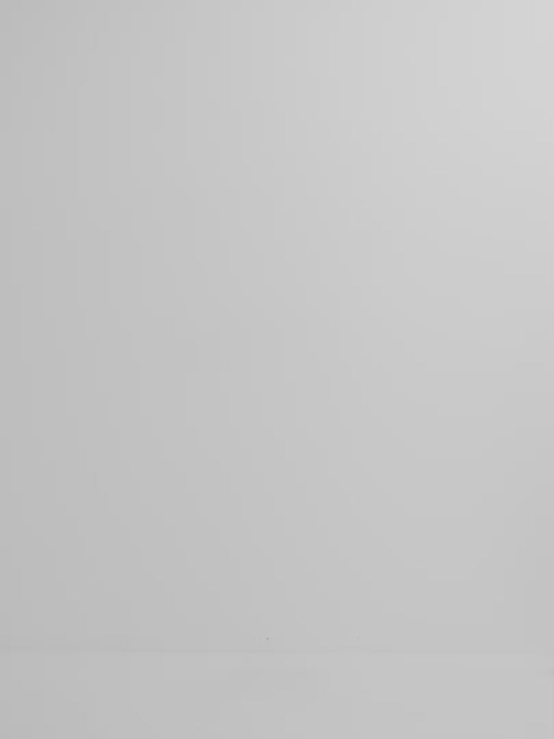 Video SHEIKE Aphrodite Skirt White 1008224 Video