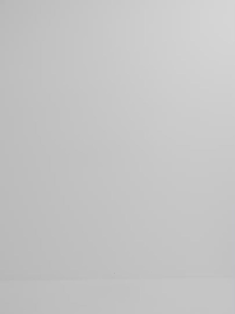 Video SHEIKE Tropics Embroidered Midi Dress White 1008199 Video