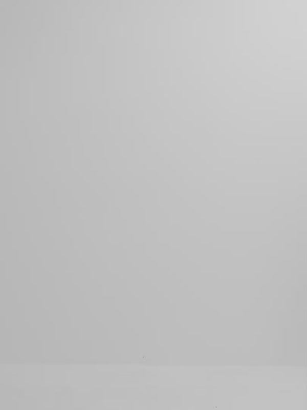 Video SHEIKE Mia Pant Floral 1008108 Video