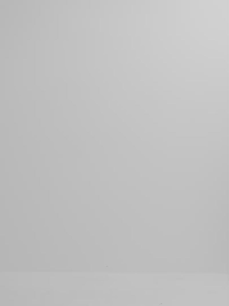 Video SHEIKE Mia Pant Floral 1008108 Video