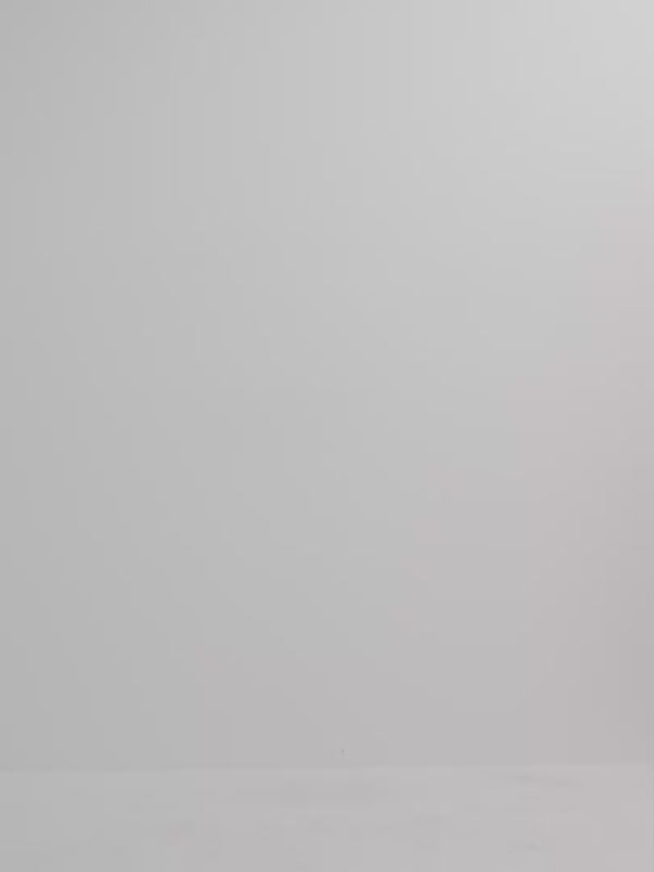 Video SHEIKE Poppy Midi Skirt Floral 1008094 Video