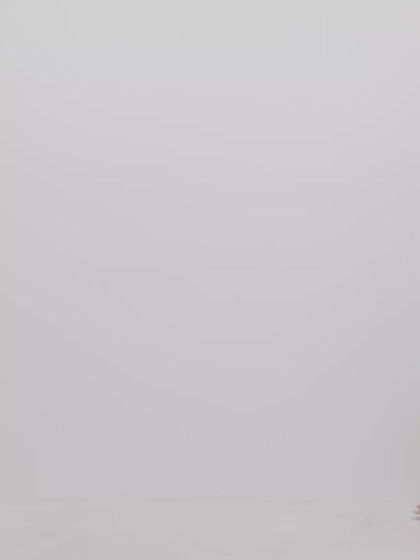 Video SHEIKE Sofia Gown Lemon 1007902 Video