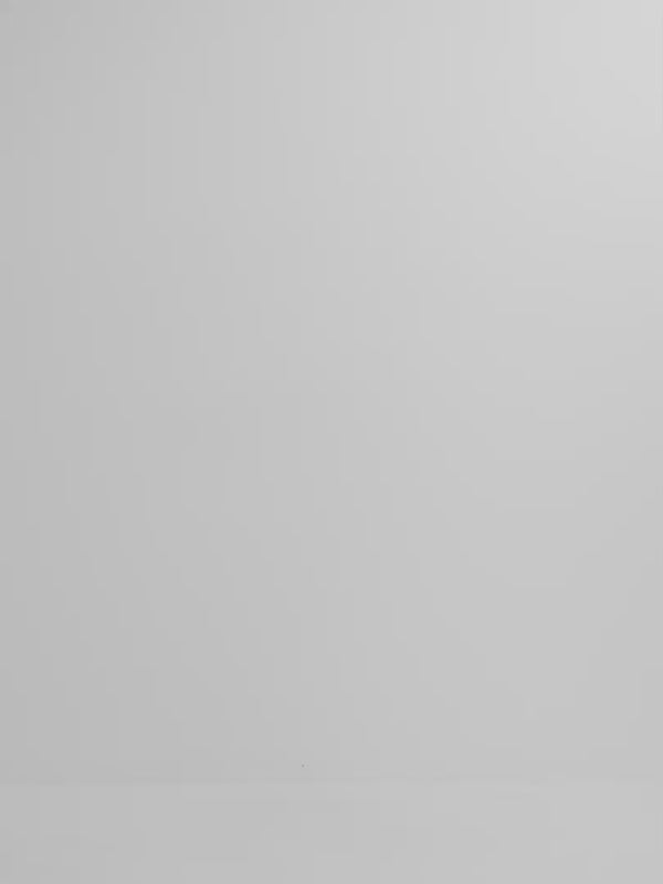 Video SHEIKE Palom a Embroidered Shirt Brown 1008228 Video