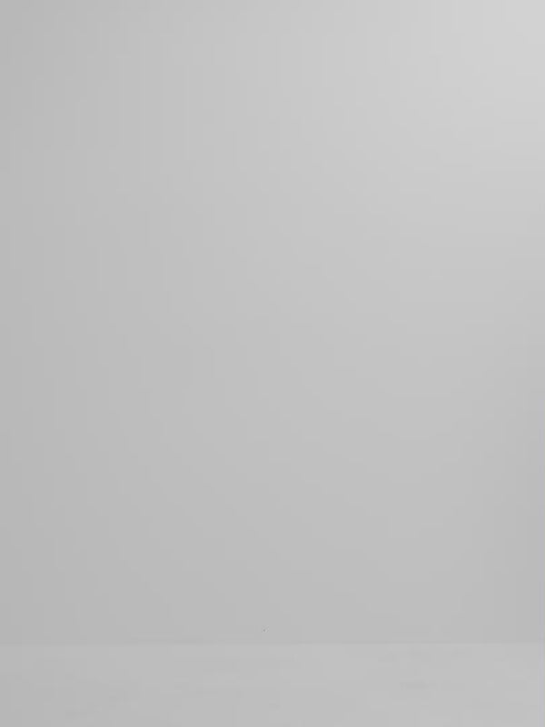 Video SHEIKE Zimi Midi Dress 1008161 Video