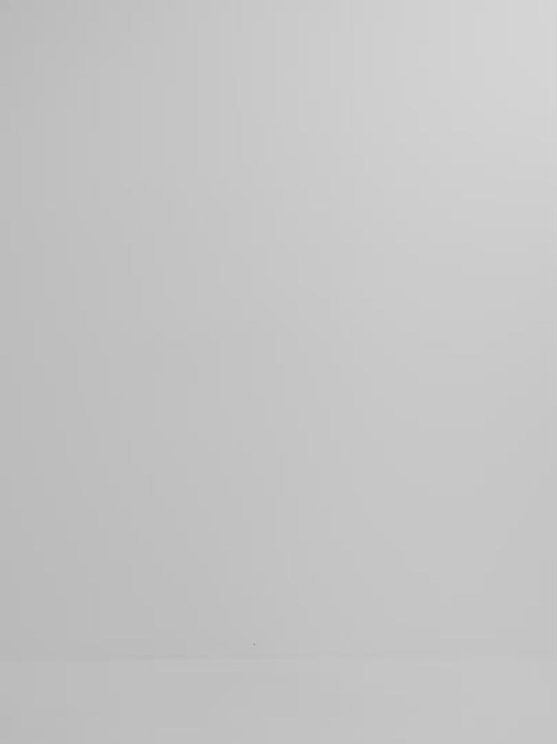 Video SHEIKE Paloma Embroidered Short Brown 1008216 Video