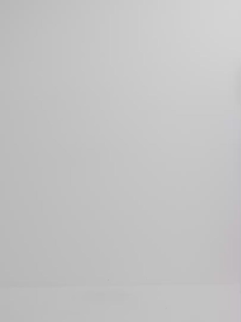 Video SHEIKE Aurora Skirt Wine 1008225 Video