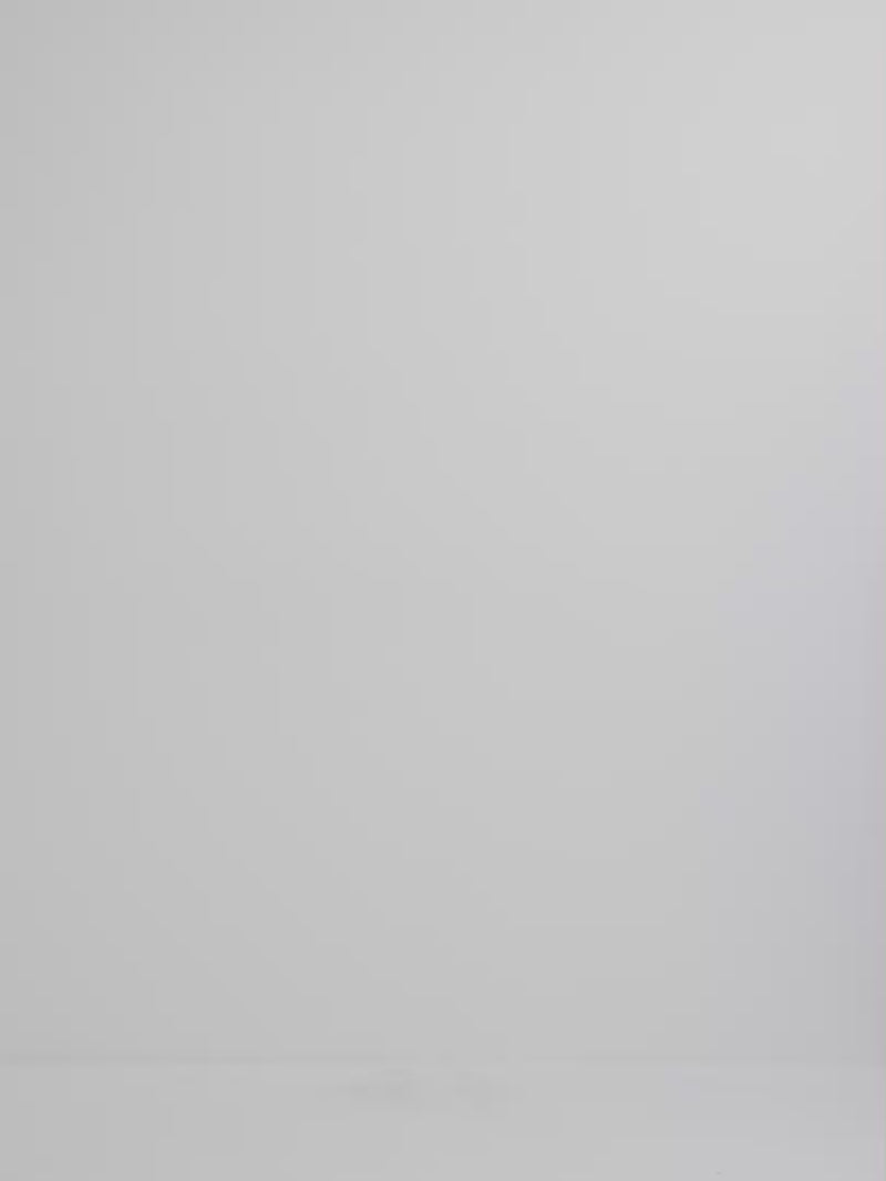 Video SHEIKE Hazel Midi Dress Floral 1008547 Video