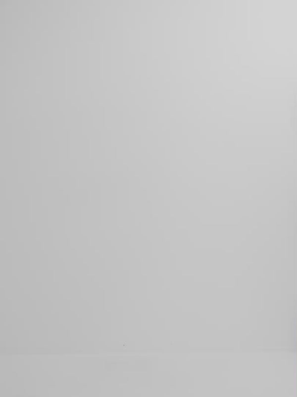 Video SHEIKE Anya Pant Green 1008236 Video