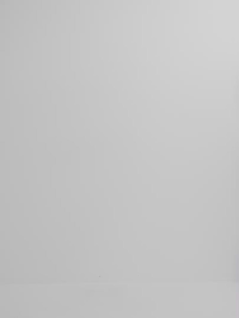 Video SHEIKE Anya Pant Green 1008236 Video